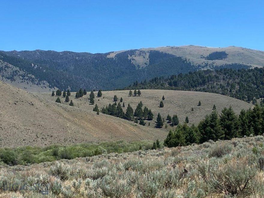 Montana mountain property with a creek bordering BLM Land and with fantastic mountain views, hunting, and trees, with elk, deer, and moose. This great mountain property is ready to pull your camper into or build your Montana cabin right out in the forest hills of the property on a site that’s already been leveled. It’s ready to go and it’s just across the road from Wickiup Creek that runs right through the property.  You’ll be able to step out on your porch and walk over to the creek babbling it’s way by as it heads down the drainage and eventually runs into the Big Hole River near Melrose, Montana. The creek has small fish and other aquatic critters and it’s in a semi-broad valley bottom with willows, sedges, and other lush vegetation. The moose browse here, and the elk and deer like it too for its water and lush feed.  Old beaver dams can be found on Wickiup Creek that used to create ponds as the creek made its way through the valley. The setting is amazing with the creek and the forested and sagebrush hillsides all around you. Properties like this don’t come available very often with all the water and wildlife in the area. The property borders BLM Lands too. So, you can step right off the property and start hunting, hiking, and recreating on all the public lands surrounding the area. The National Forest is only a few miles up the road, where the Highland Mountains can be found. There are trails and roads to explore and hike, ATV, or drive, and lots of country to take off hunting elk and deer. Having all the BLM lands bordering the property gives you more land right out your back door that’s there for your enjoyment. What a great feeling to know that the hills just across the drainage from the property are wide open spaces there for your hunting, hiking, and enjoyment. From the property, you’ve got views of the Highland Mountains and surrounding foothills that are amazing. You’ll be able to see elk and deer right from the property or drive out on the public road that comes through the property and find other elevated vantage and glassing points. There are thousands and thousands of acres and you’re right out in the middle of it all.  You can hunt both elk and deer with a general tag and there are extra cow elk tags you can draw for a second elk as well since the elk are so plentiful in Hunting District 340. This is a recreational property that’s back in the mountains of Montana that gets snowed in during the winter, it’s not a place to live year-round.