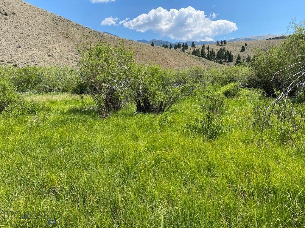 mining claim - Land
