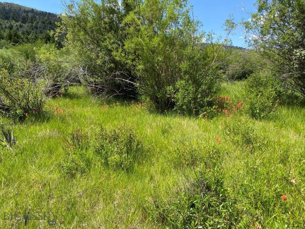 mining claim - Land