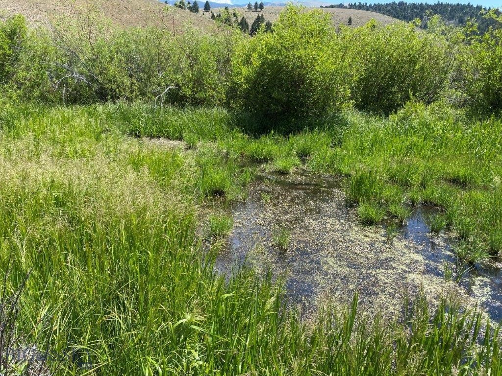 mining claim - Land