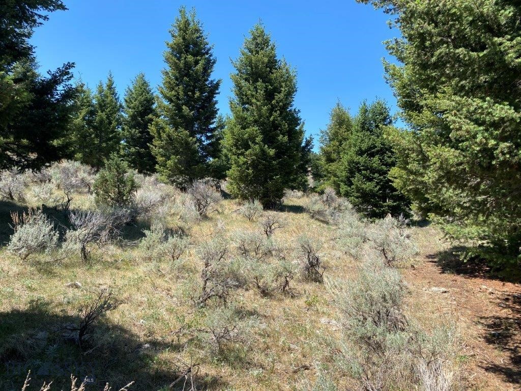 mining claim - Land