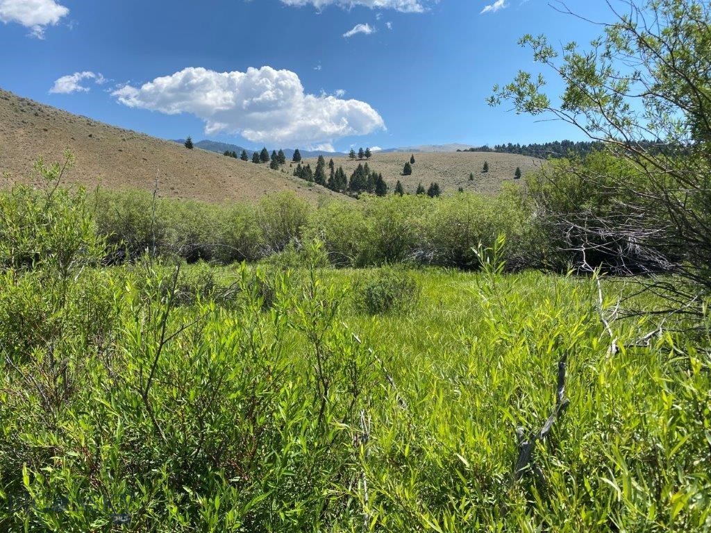 mining claim - Land