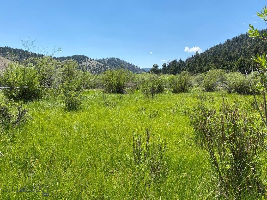 mining claim - Land
