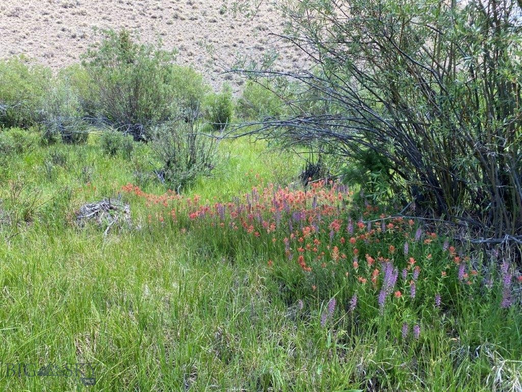 mining claim - Land