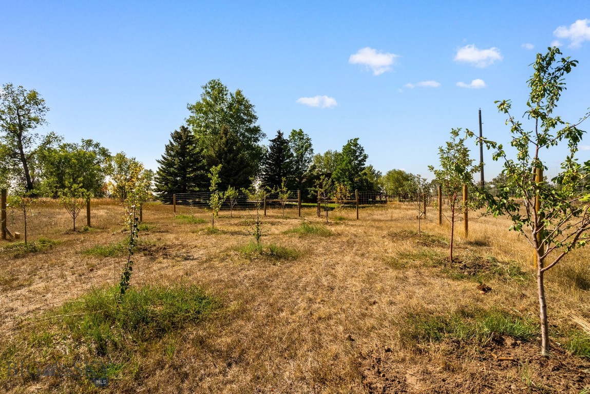 Cedar Meadows - Residential