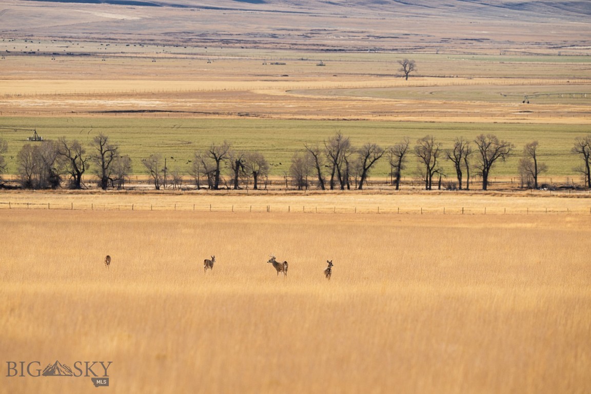 TBD Buster Brown Road
