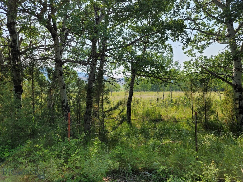 2A School House Meadow