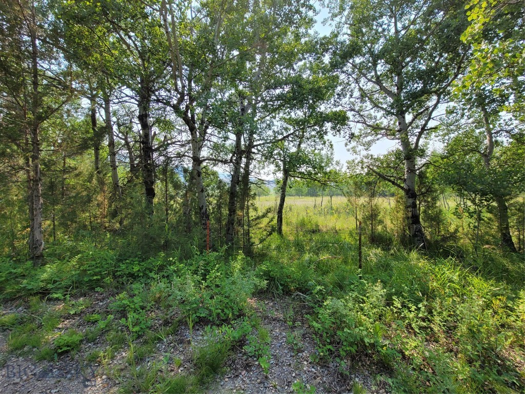 2A School House Meadow
