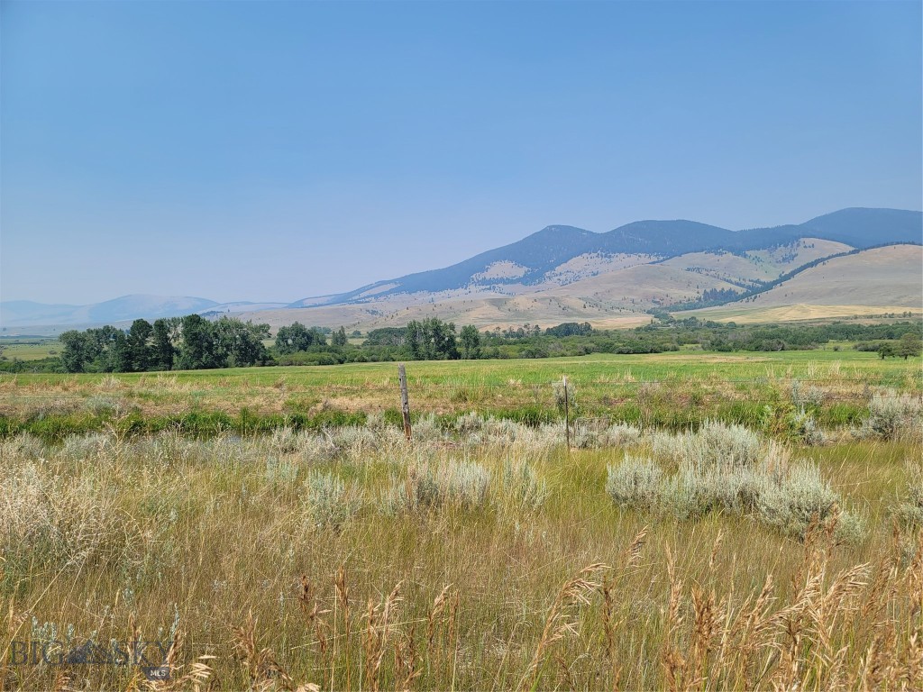 2A School House Meadow