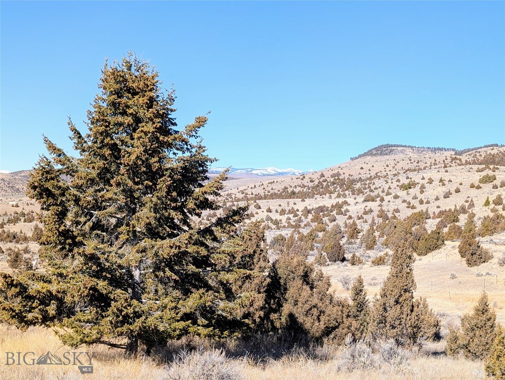 Virginia City Original Plat - Land