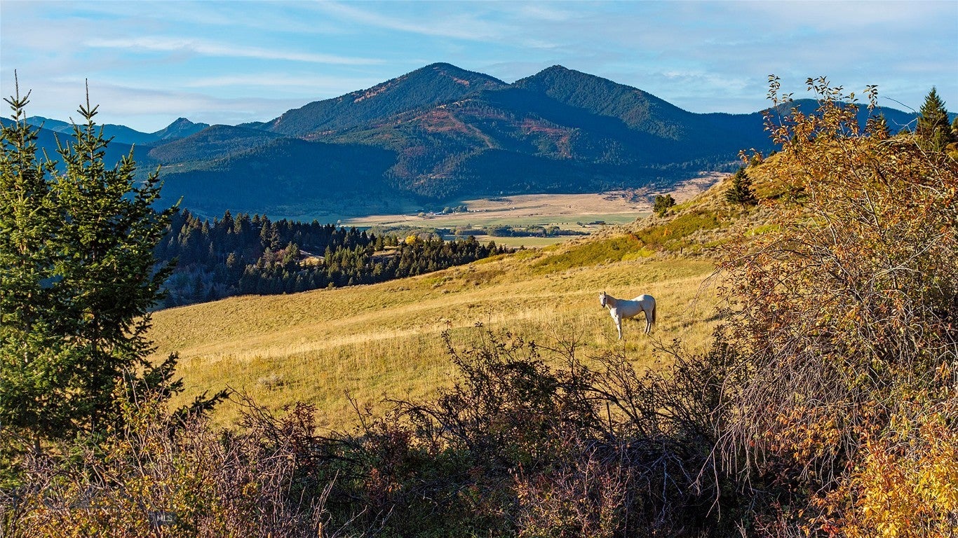 NHN Kelly Canyon Road