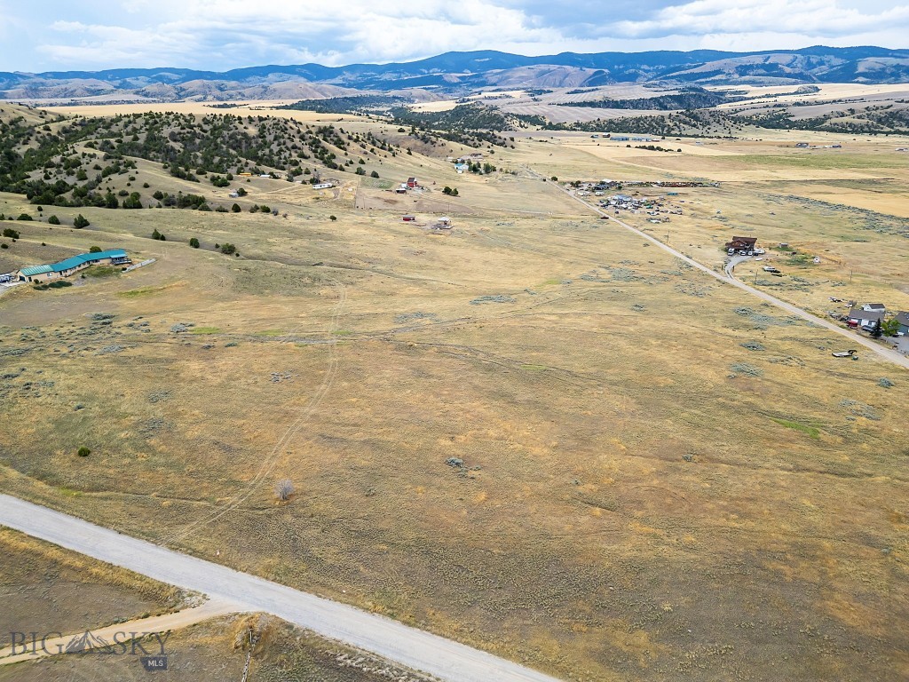 Ponderosa Pines - Land