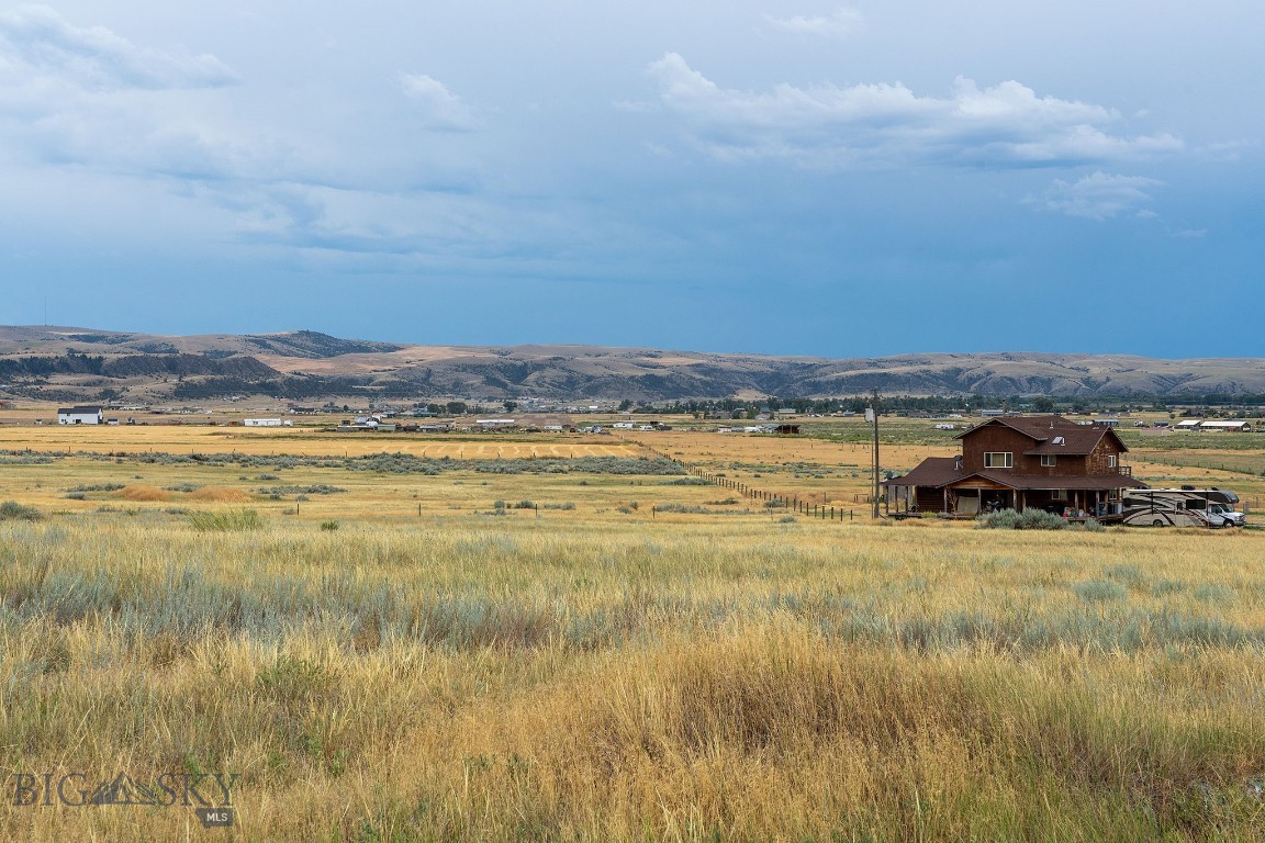 Ponderosa Pines - Land