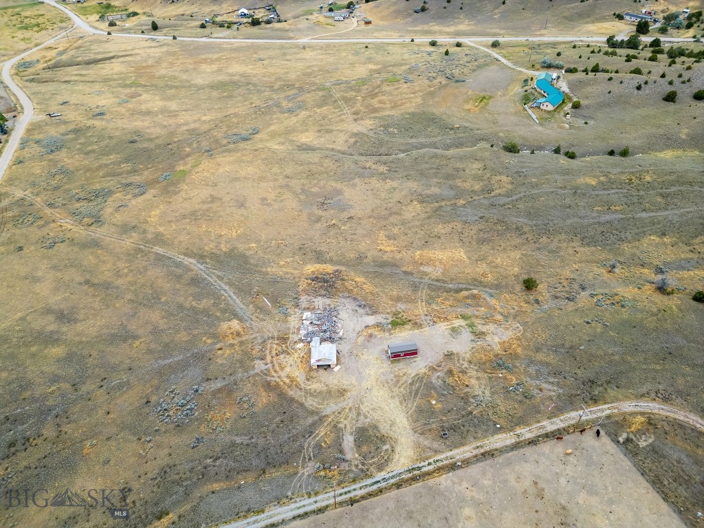 Ponderosa Pines - Land
