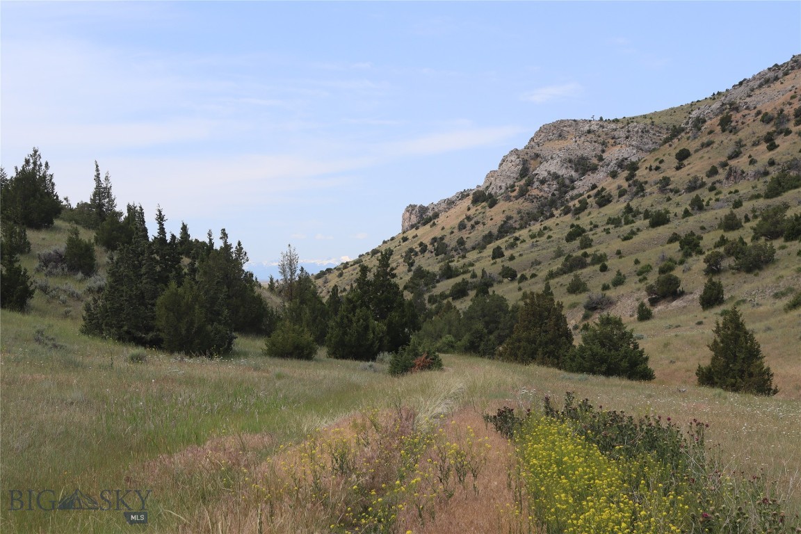 Gallatin River Ranch - Land