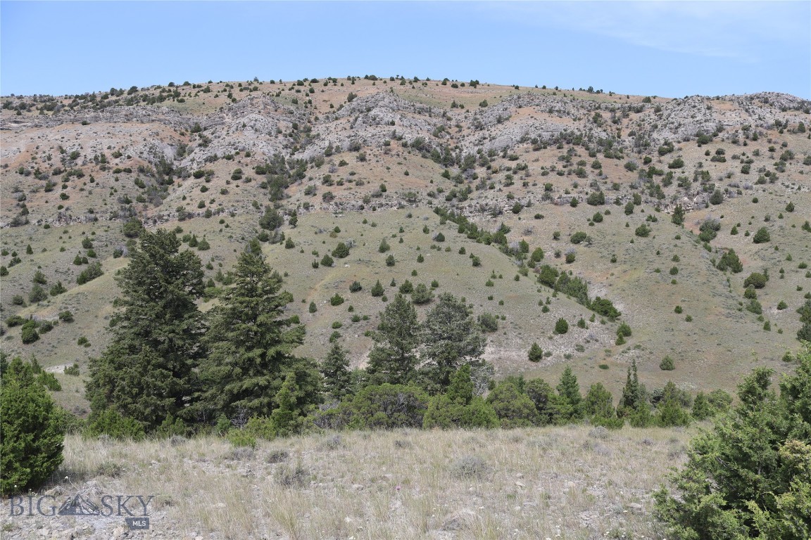 Gallatin River Ranch - Land
