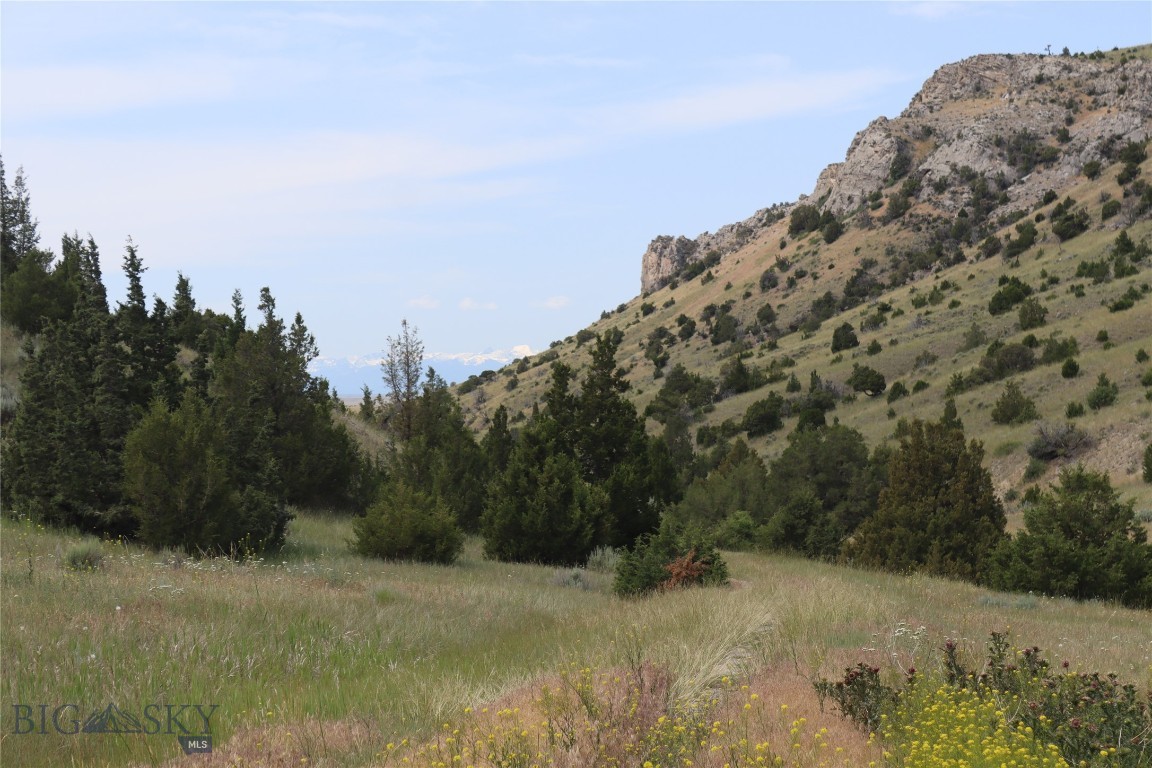 Gallatin River Ranch - Land