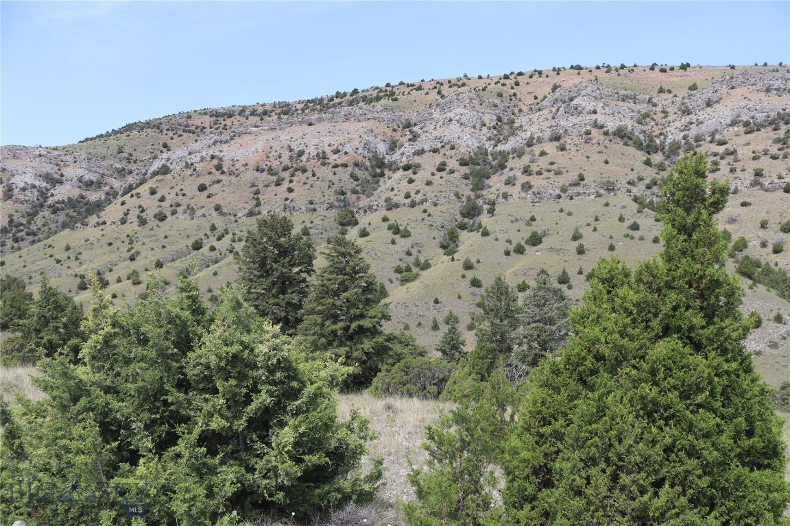 Gallatin River Ranch - Land