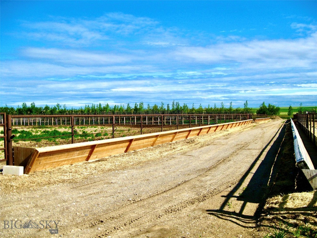 TBD Buena Vista Road