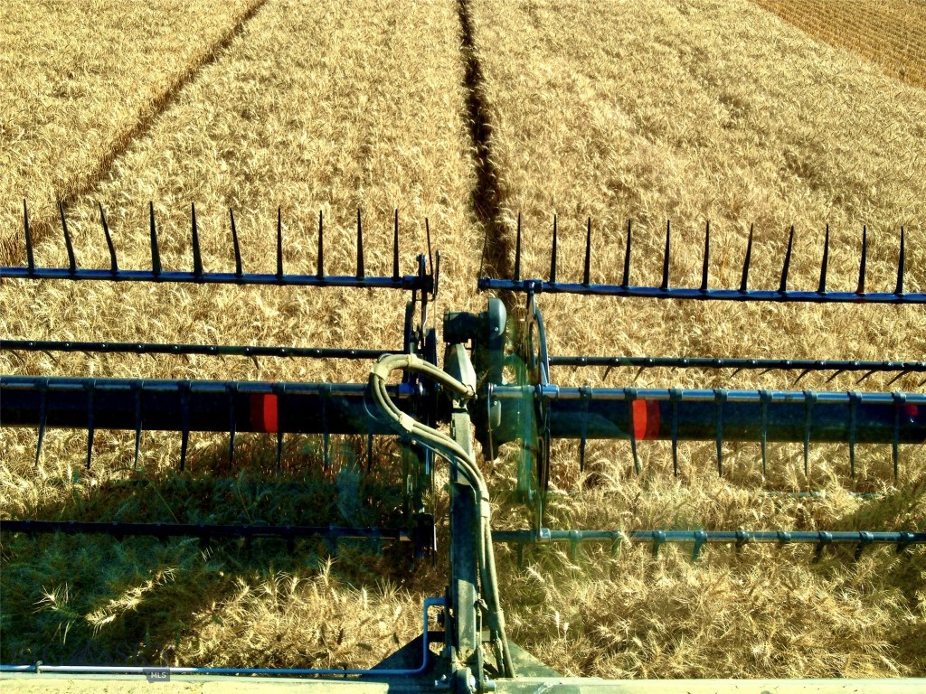 TBD Buena Vista Road