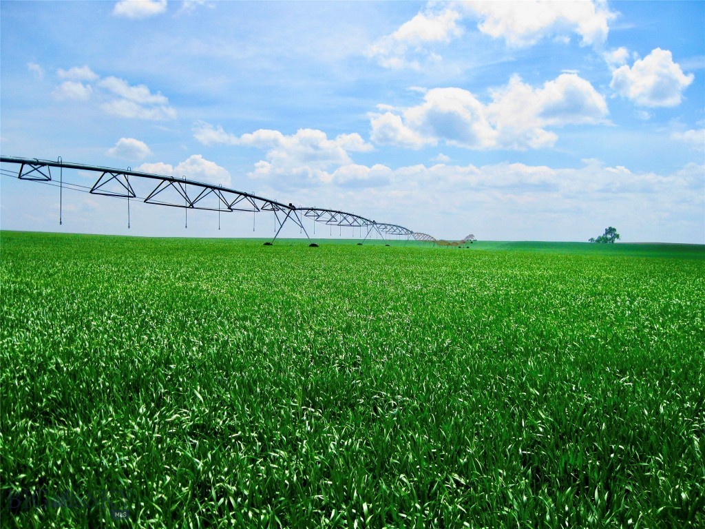 TBD Buena Vista Road