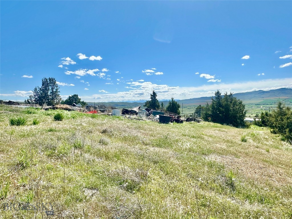 Ponderosa Pines - Residential