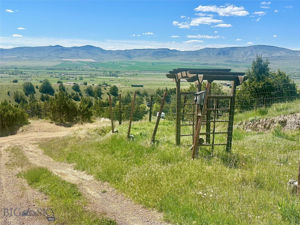 Ponderosa Pines - Residential