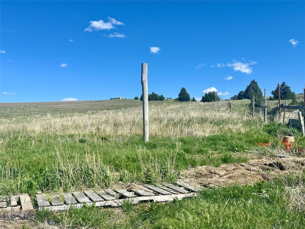 Ponderosa Pines - Residential