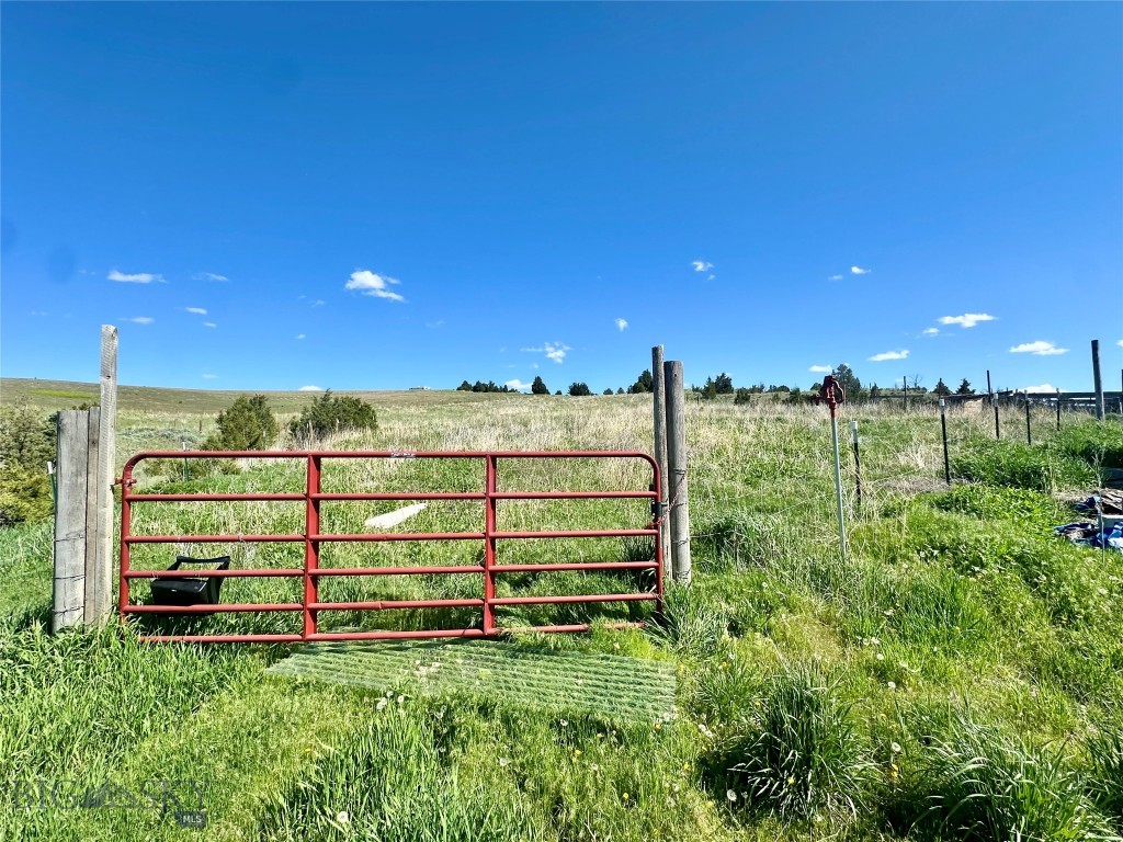 Ponderosa Pines - Residential