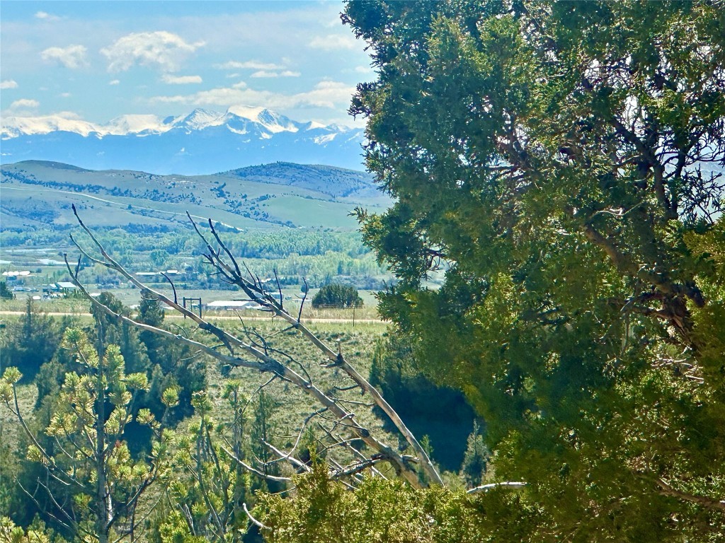 Ponderosa Pines - Residential