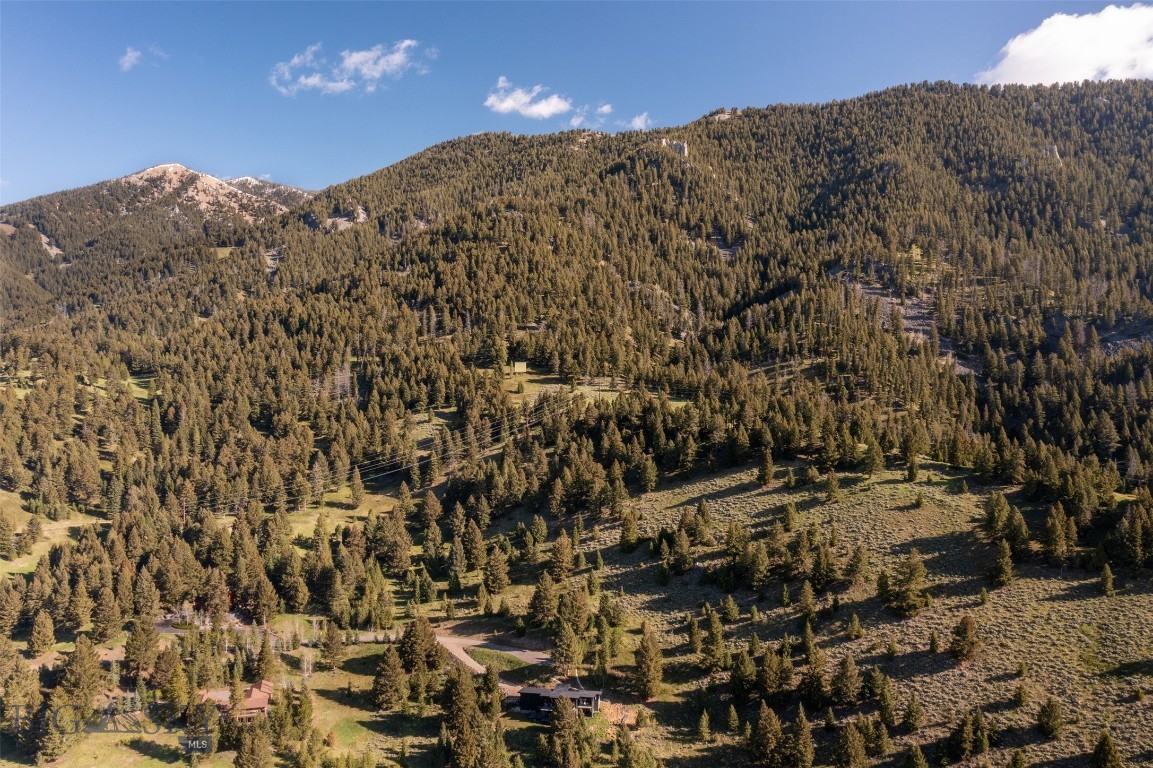 Sweetgrass Hill - Land
