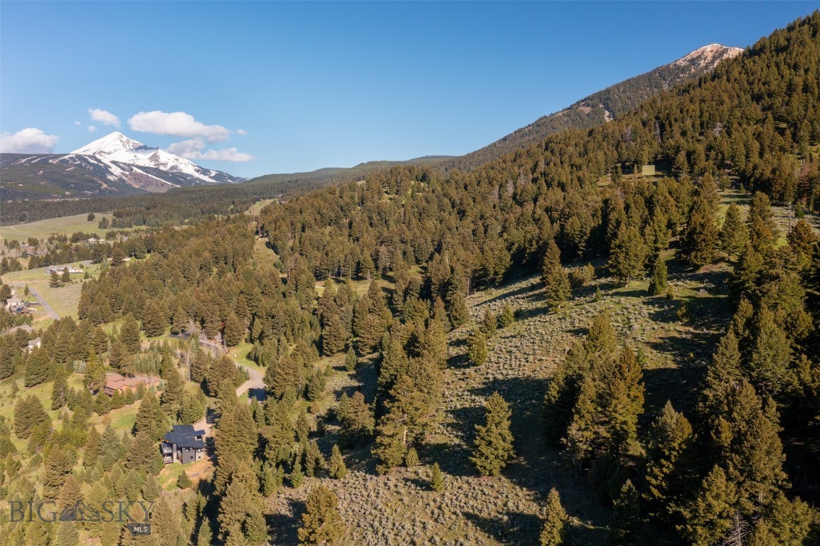Sweetgrass Hill - Land
