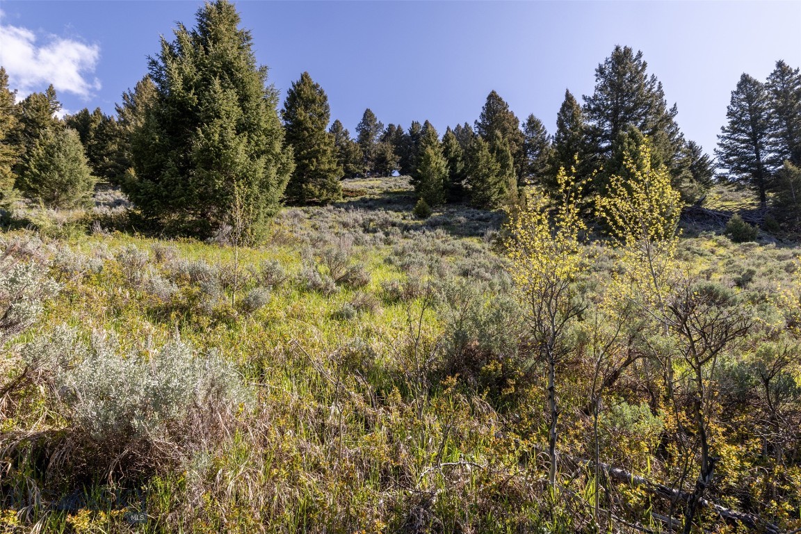 Sweetgrass Hill - Land