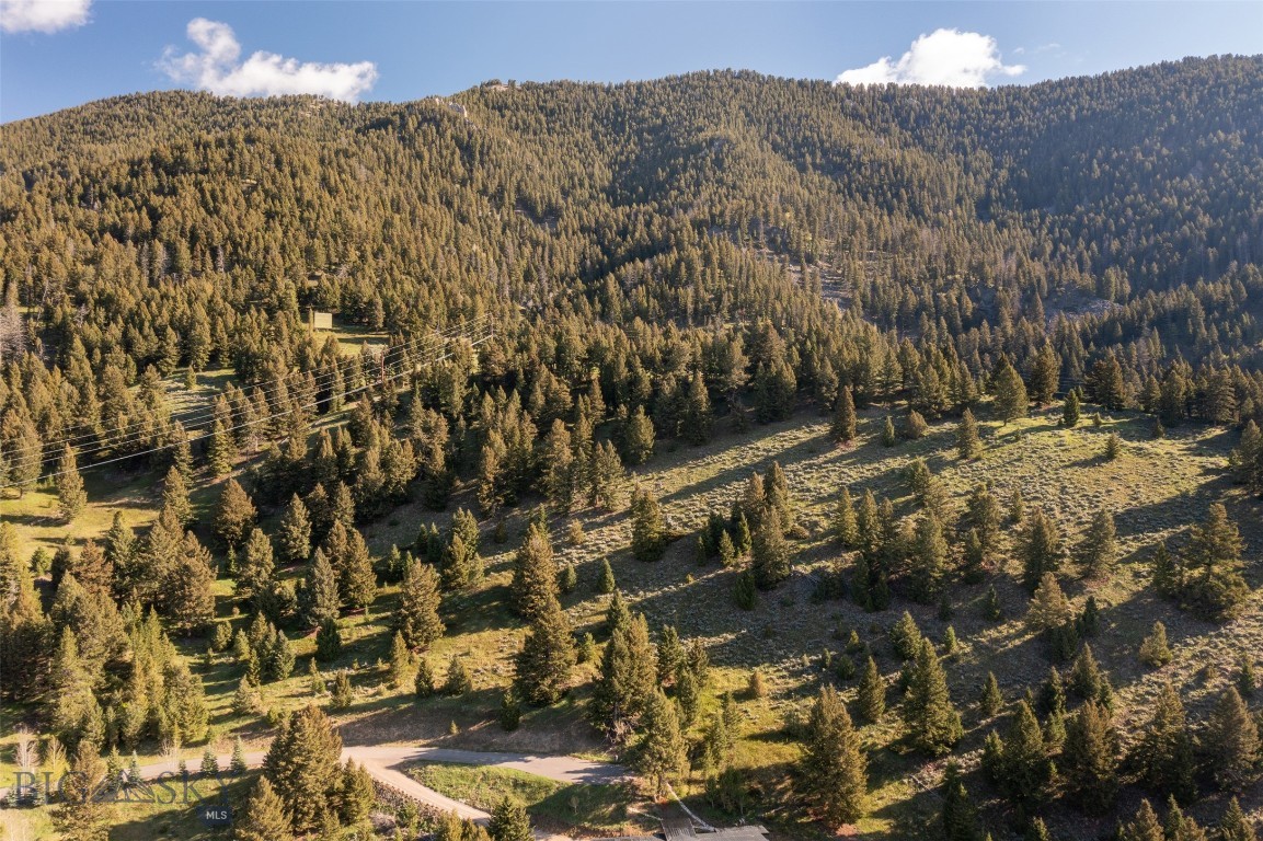 Sweetgrass Hill - Land