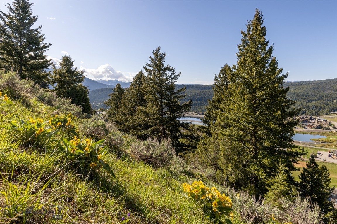 Sweetgrass Hill - Land
