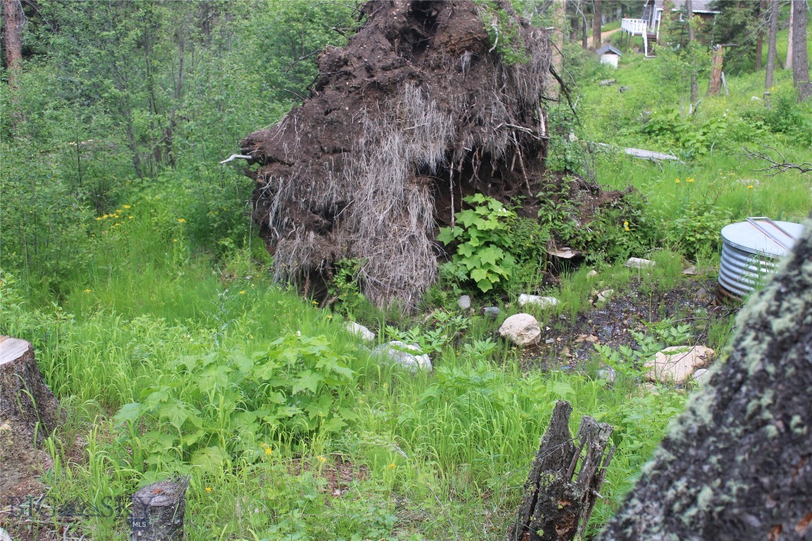 Mountain Meadows Estates - Residential