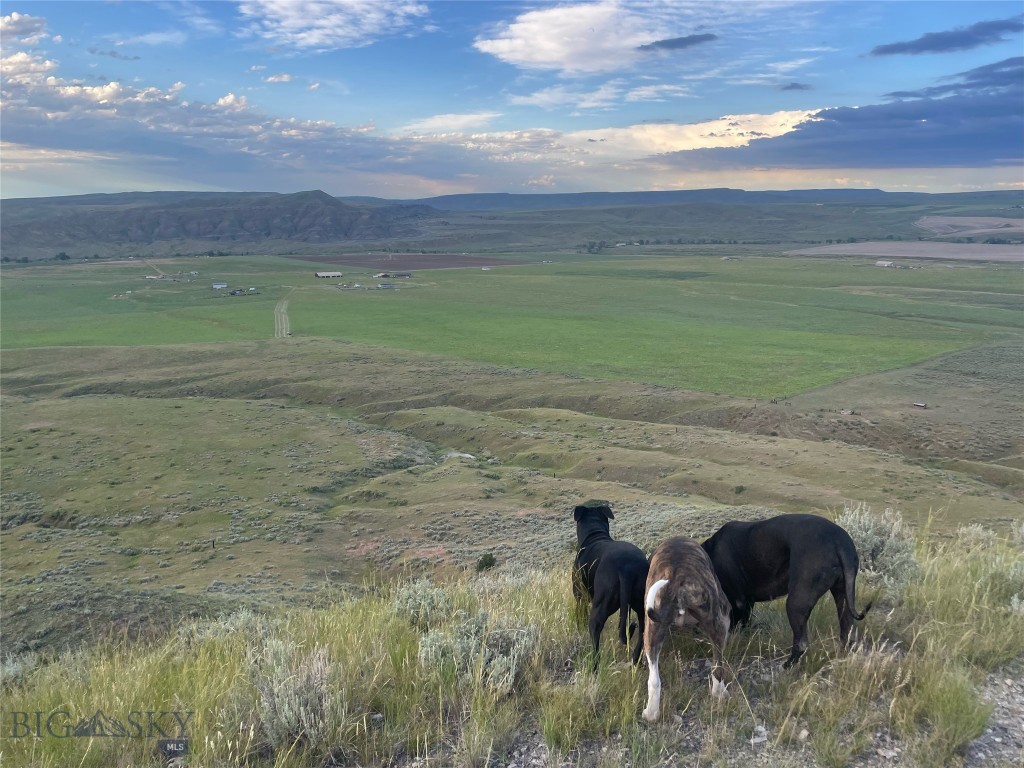 TBD Bequette Drive 11