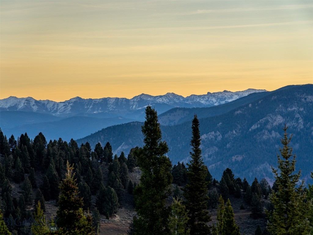 Big E Z - Residential