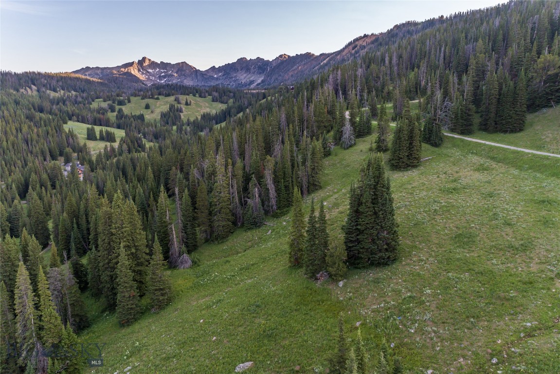 Beehive Basin - Land