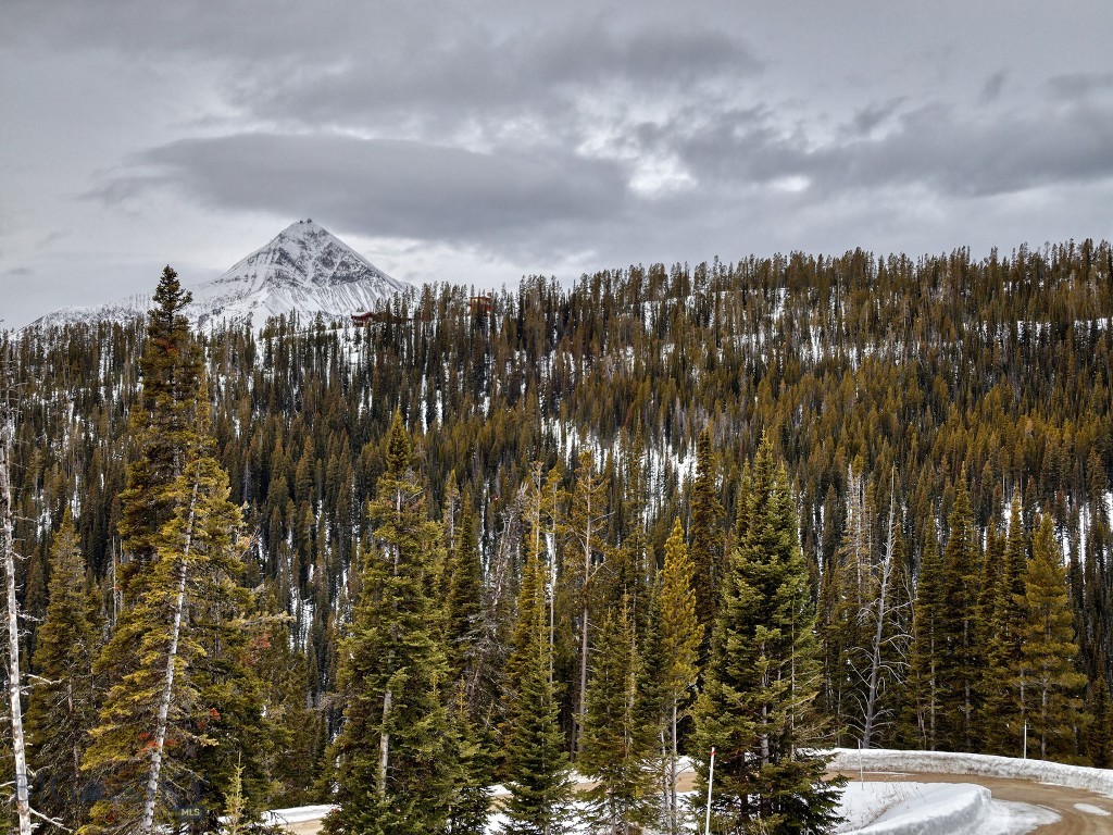 Beehive Basin - Land