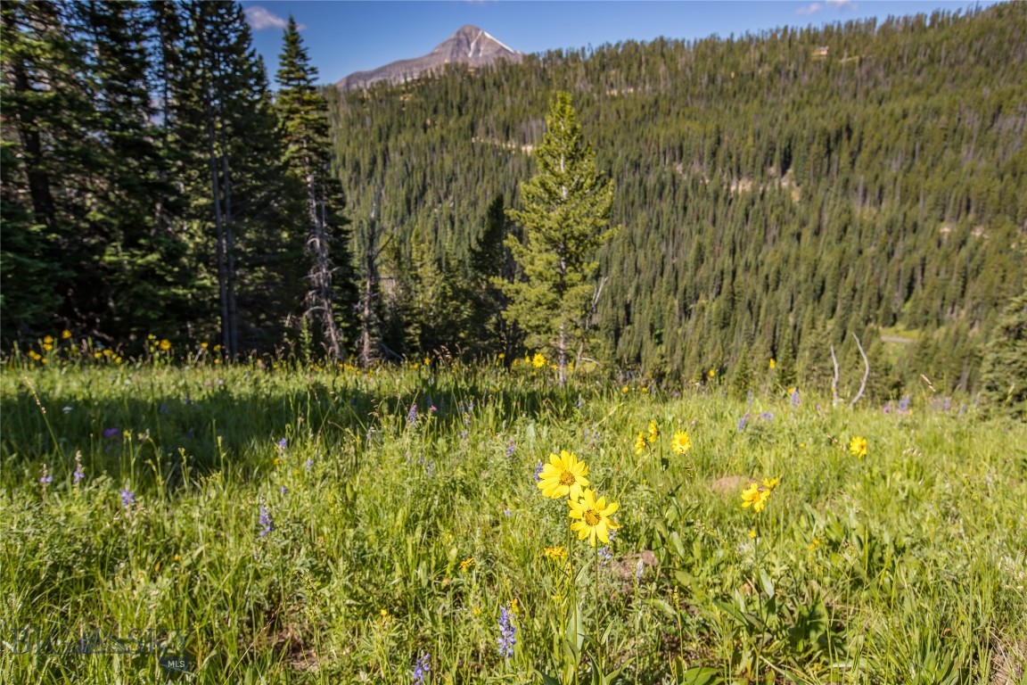 Beehive Basin - Land