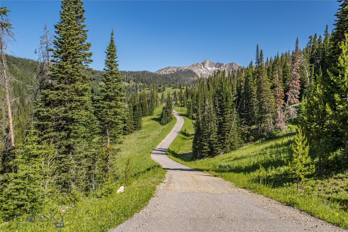 Beehive Basin - Land