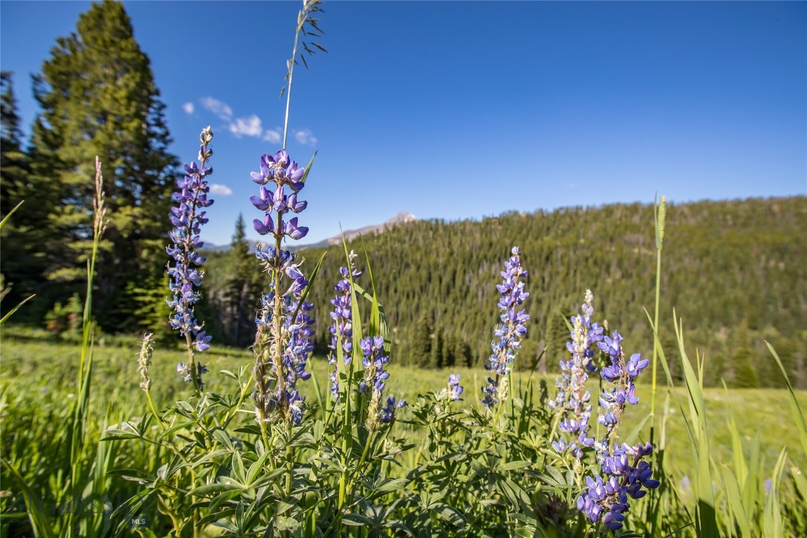 Beehive Basin - Land