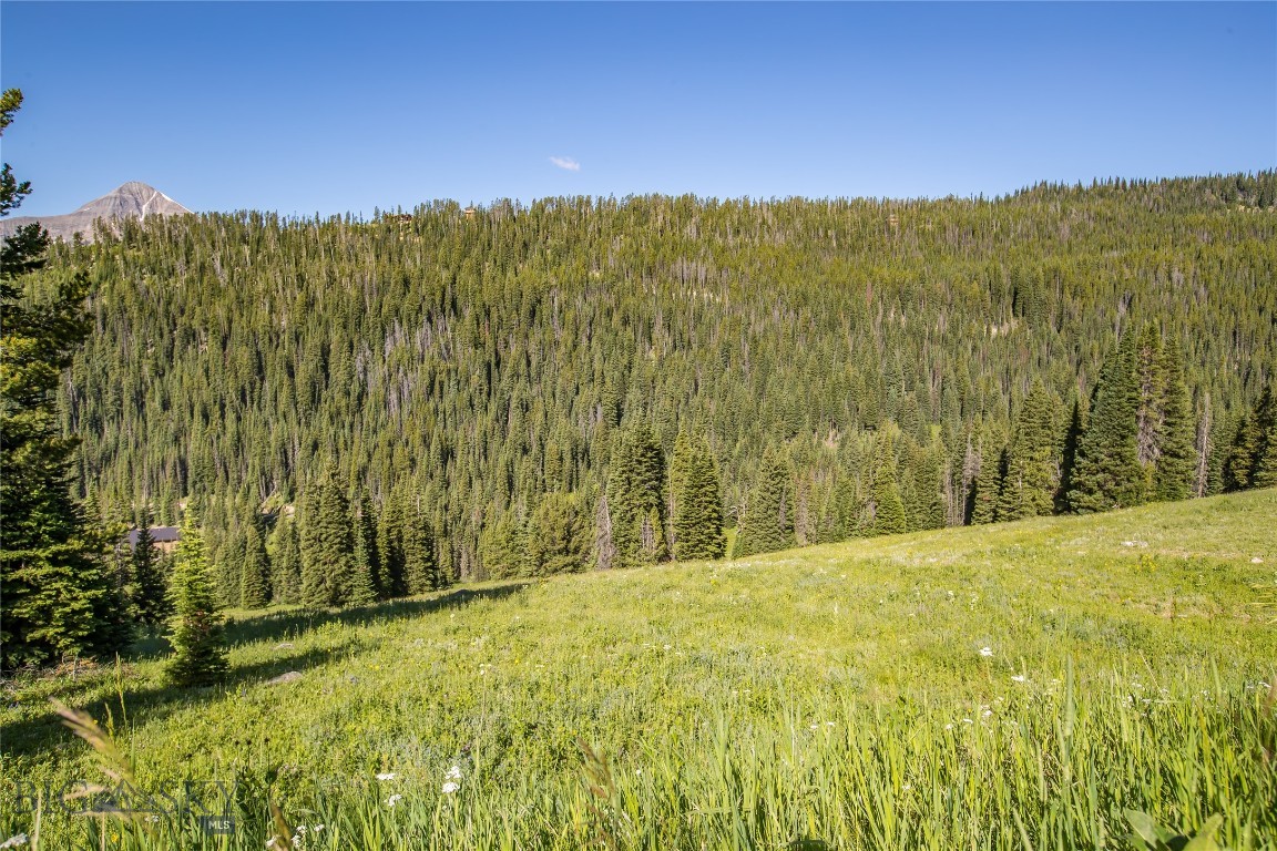 Beehive Basin - Land