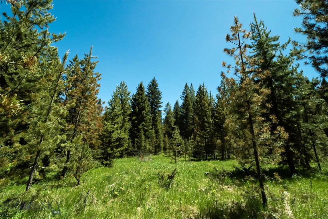 Lot 26 Colters Run Loop