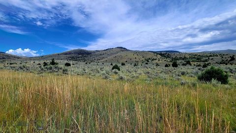 1B-20.13acres Private Rd off MT Hwy 287, Virginia City, MT 59755 - #: 385531