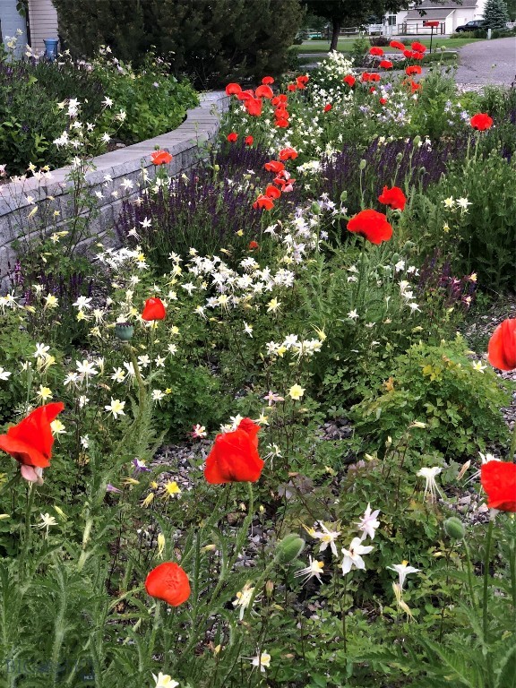 Wylie Creek Estates - Residential