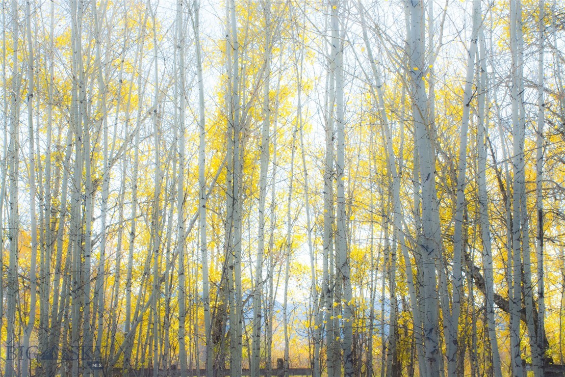 Northern Pacific Addition - Land