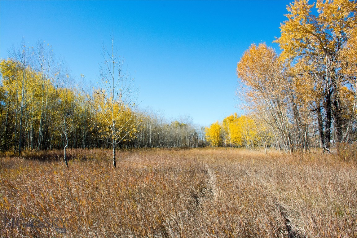 Northern Pacific Addition - Land