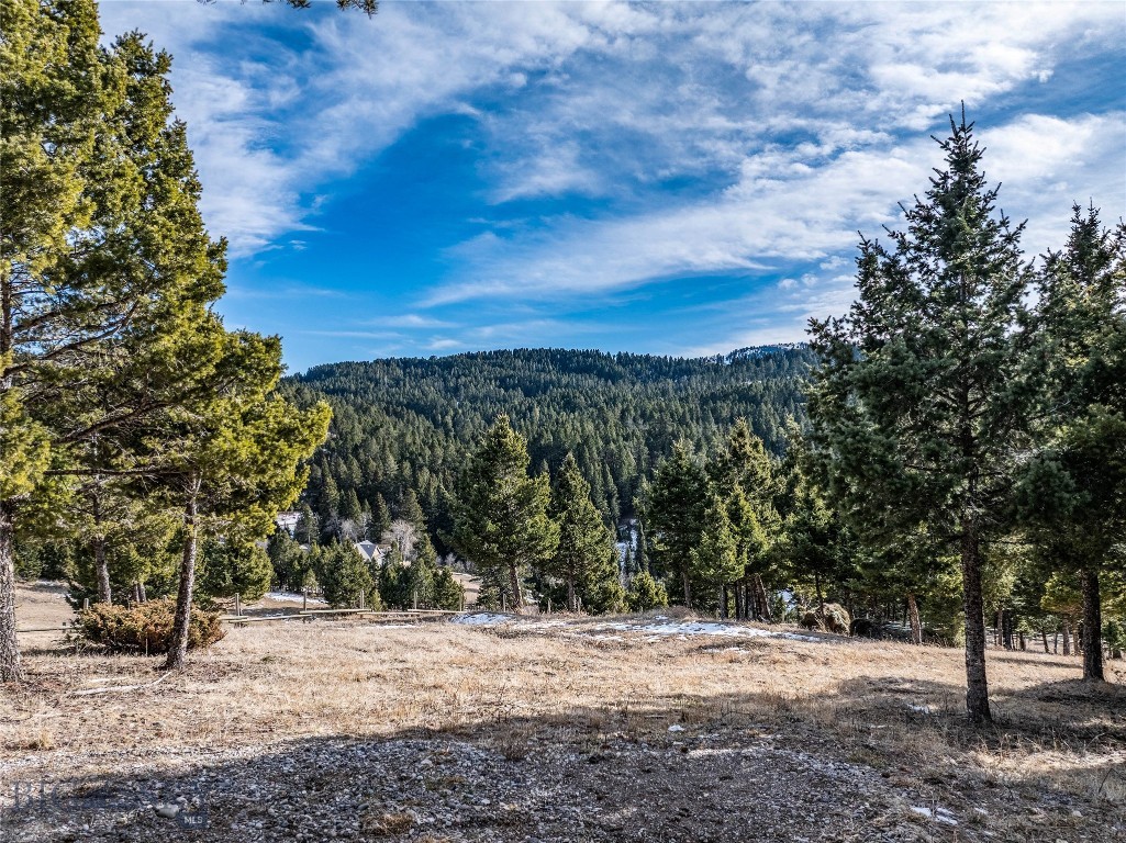 Certificate Of Survey COS - Residential